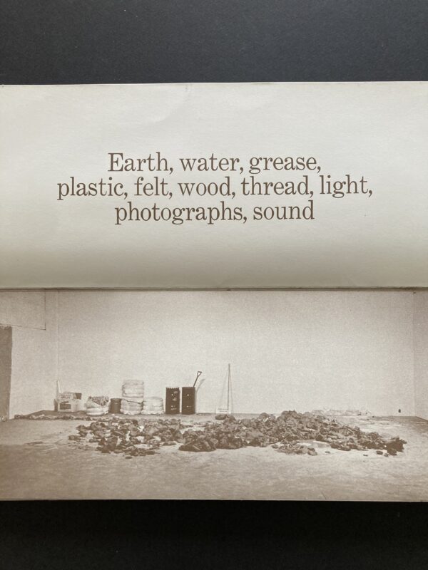 Robert Morris, Continuous Project Altered Daily