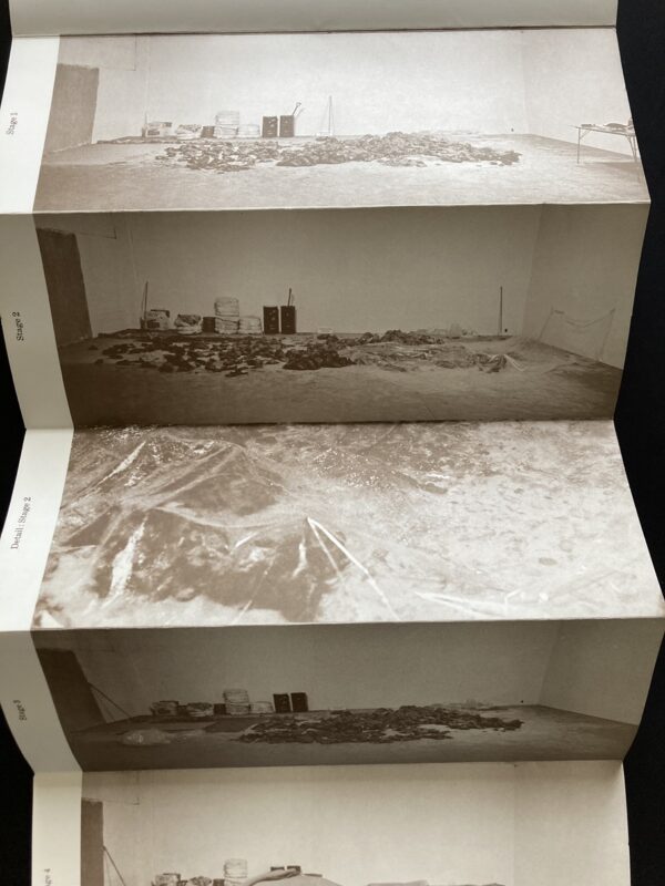 Robert Morris, Continuous Project Altered Daily