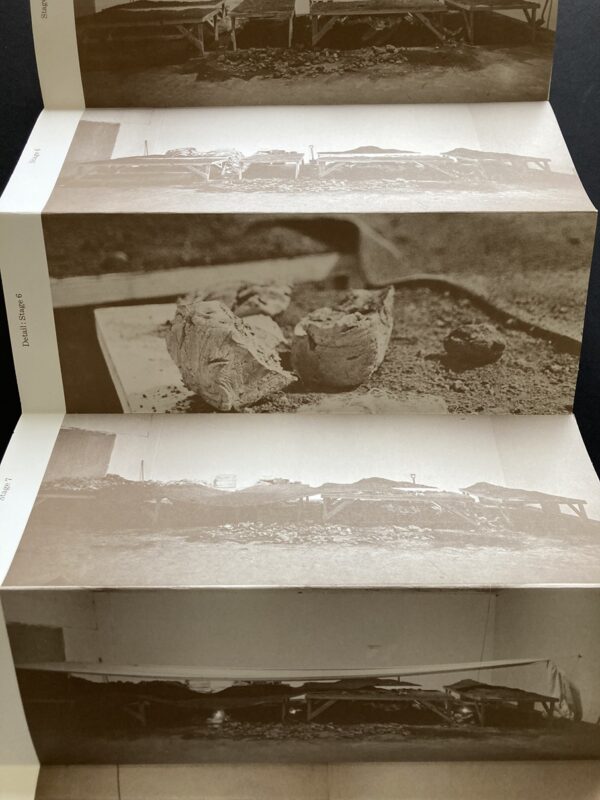 Robert Morris, Continuous Project Altered Daily