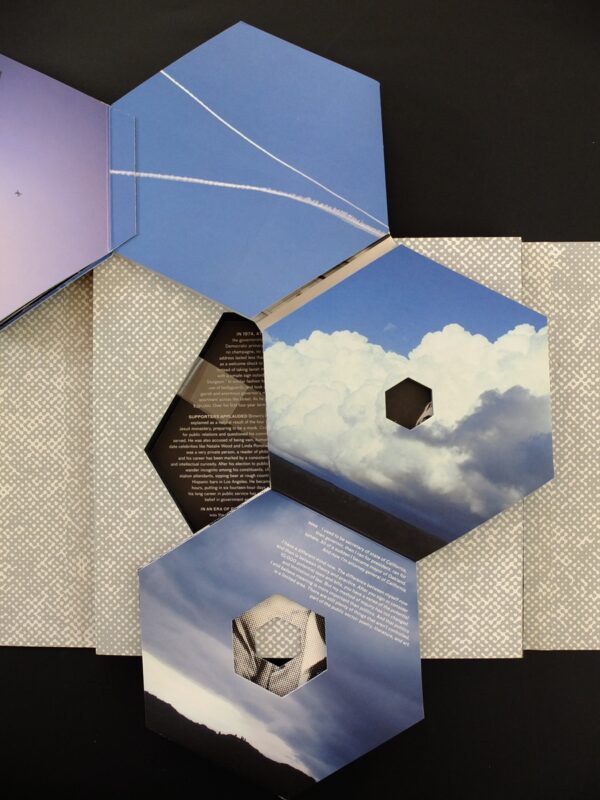 Doug Aitken, Write-In Jerry Brown President