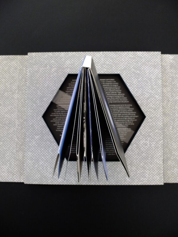 Doug Aitken, Write-In Jerry Brown President