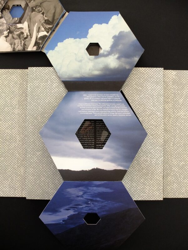 Doug Aitken, Write-In Jerry Brown President
