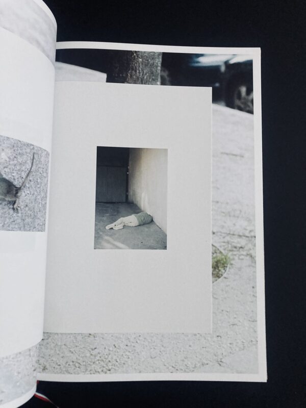 Ola Rindal, Paris (numbered)