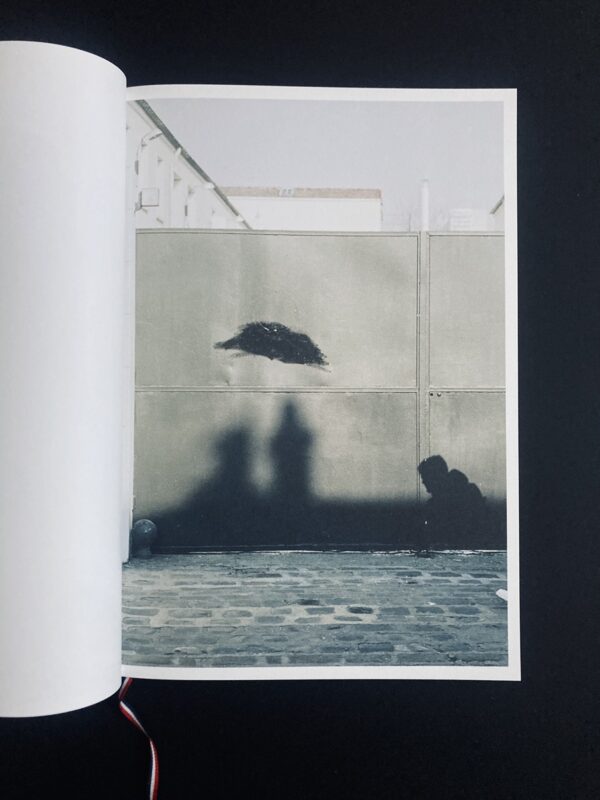 Ola Rindal, Paris (numbered)