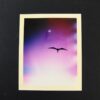 Mark Borthwick, Untitled (Signed Polaroid)