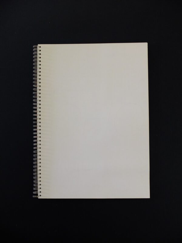 Goldin2-1 Nan Goldin, Gotscho : Photographies habillées